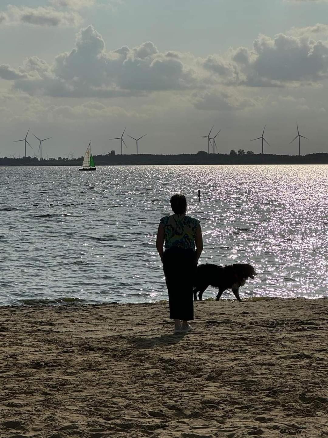 Duemmerliebe Mit Garten, 10 Min. Fusslaeufig Zum See Hüde Zewnętrze zdjęcie