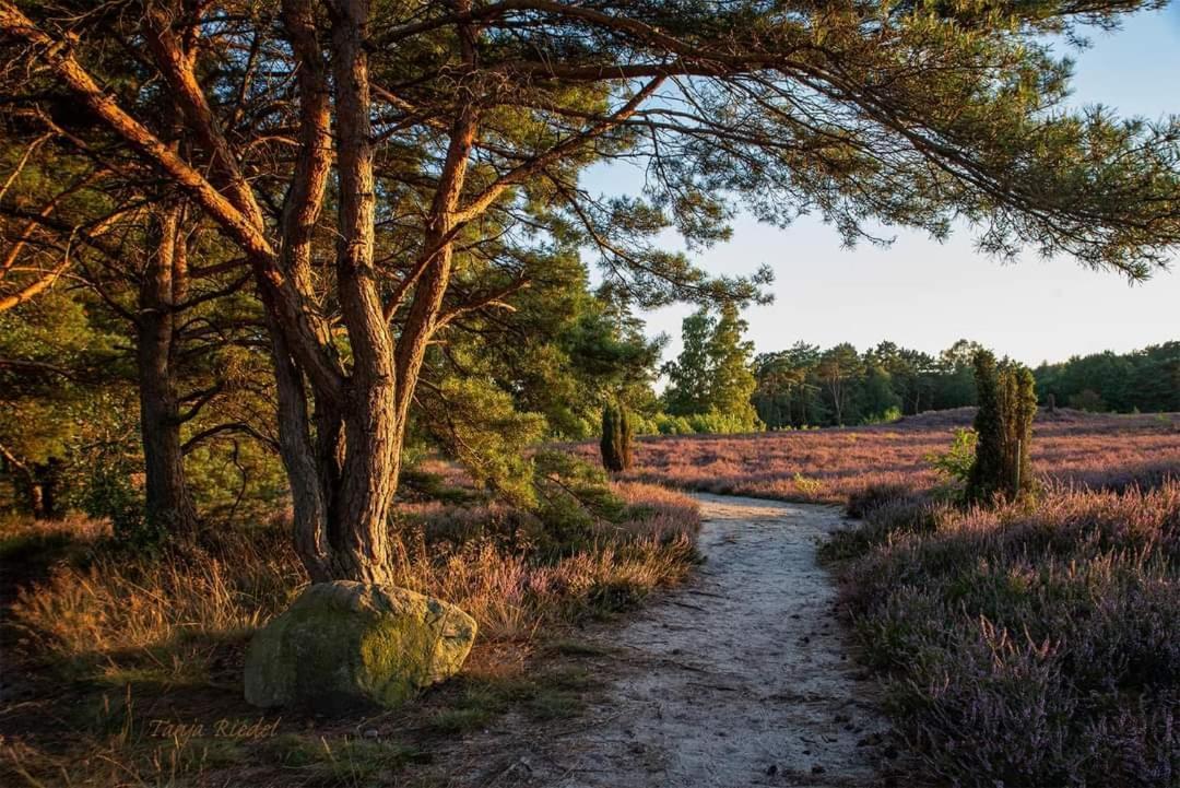 Duemmerliebe Mit Garten, 10 Min. Fusslaeufig Zum See Hüde Zewnętrze zdjęcie